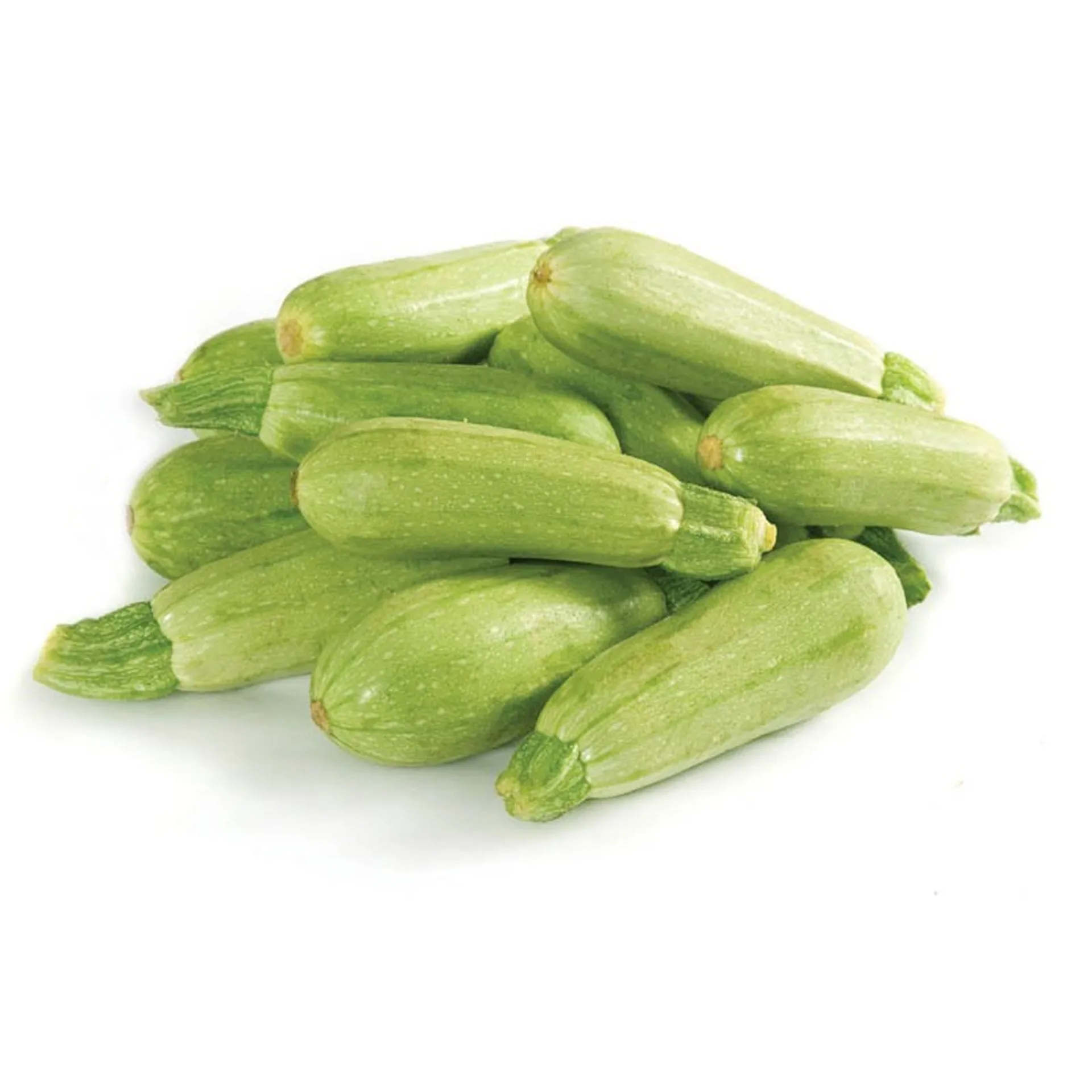 Marrow (Koosa) Jordan 500 g Marrow (Koosa) Jordan 500g - Image 1