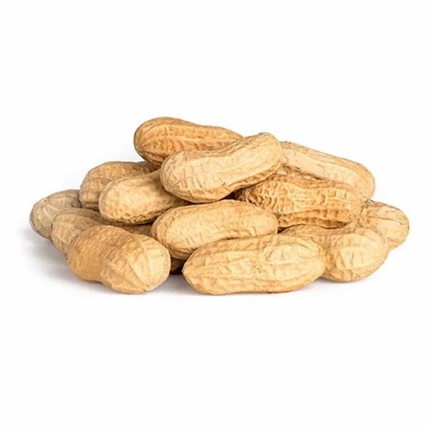 Peanut in Shell Egypt 250g